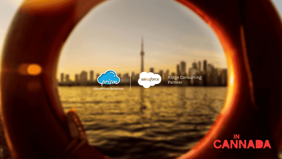 salesforce consultation and Implementation partner