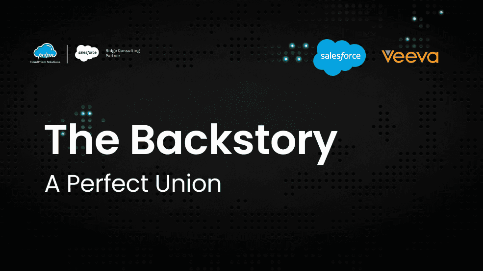 salesforce consultation and Implementation partner