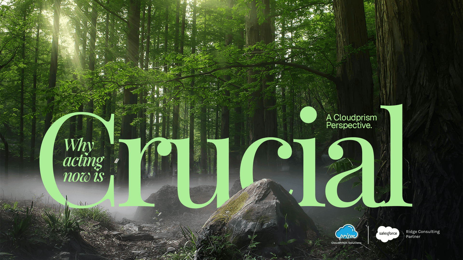 salesforce consultation and Implementation partner